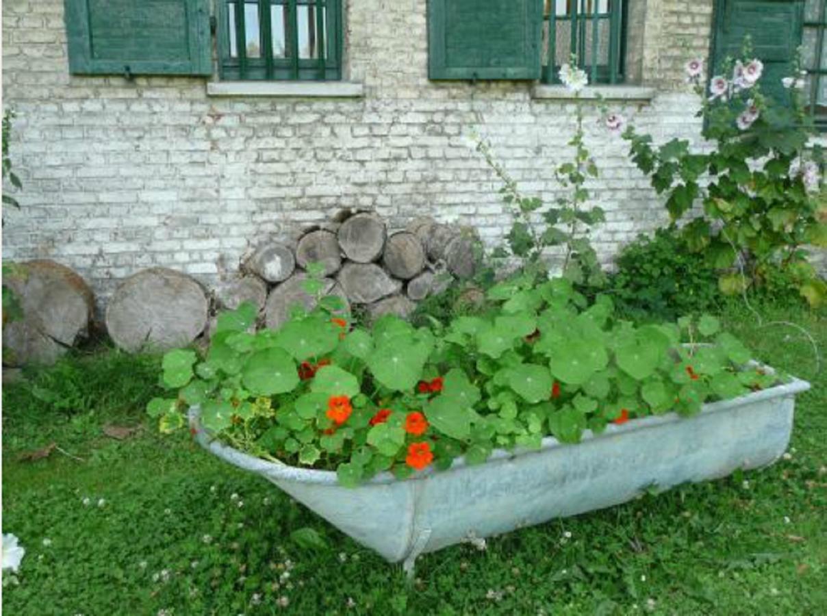 Manoir De Bois En Ardres Bed and Breakfast Εξωτερικό φωτογραφία